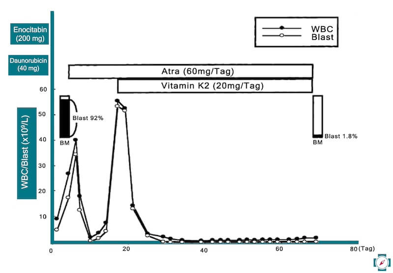 Vitamin K 2