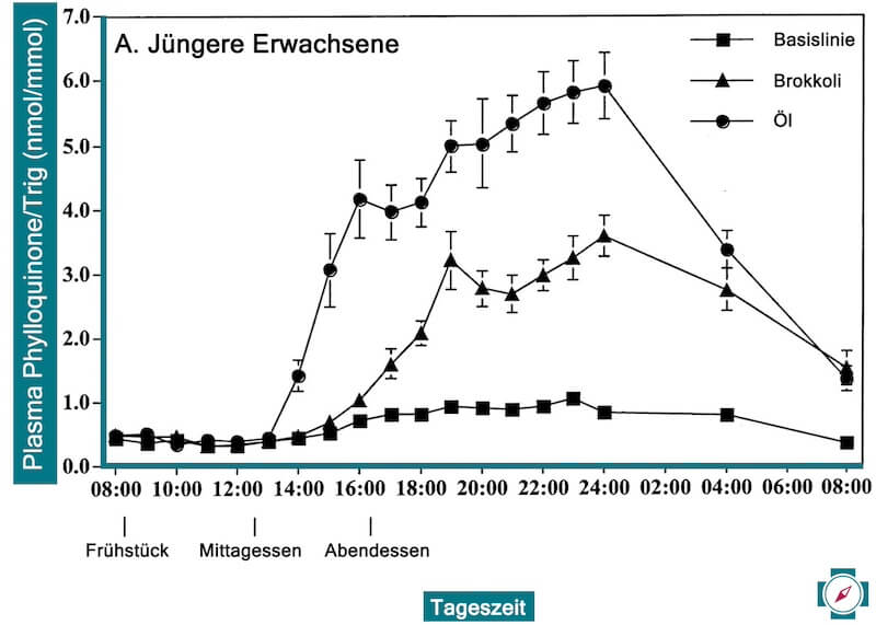 Die Ernährung mit dem Vitamin-K-reichen Lebensmittel Brokkoli führte unter jungen Erwachsenen zu einer besseren Aufnahme des Vitamins, wenn gleichzeitig auch Fett/Öl konsumiert wurde. 