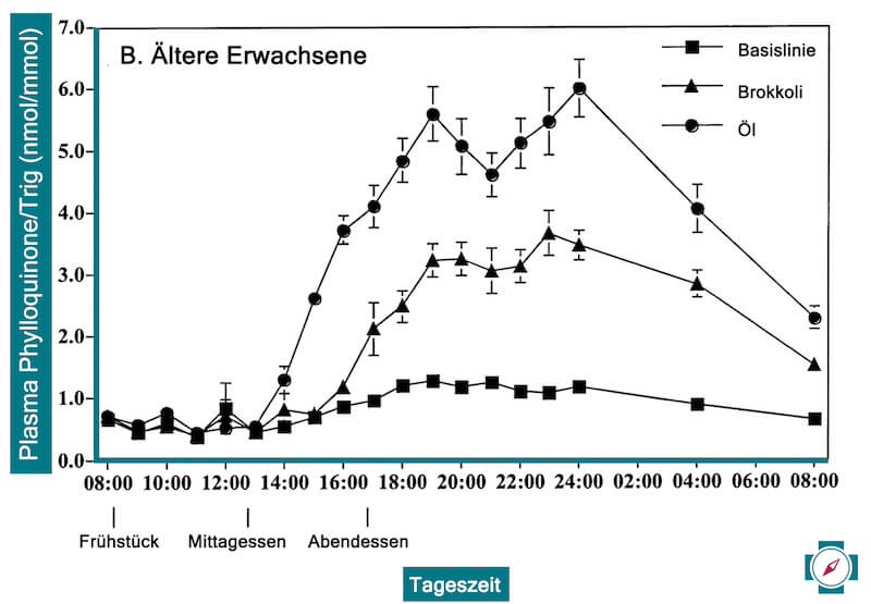 Auch ältere Versuchsteilnehmer konnten mehr Vitamin K aufnehmen, wenn Brokkoli mit Öl gemeinsam verzehrt wurde. 