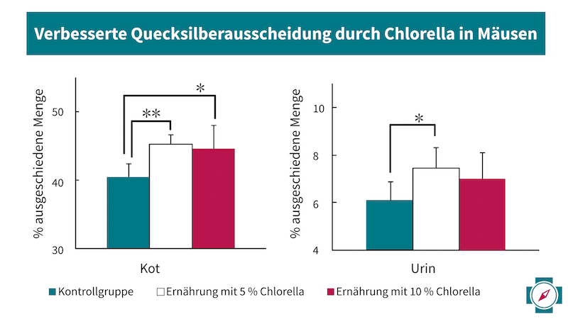 Quecksilberausscheidung durch Chlorella