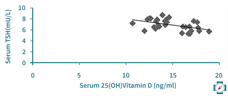 Vitamin D Werte überprüfen