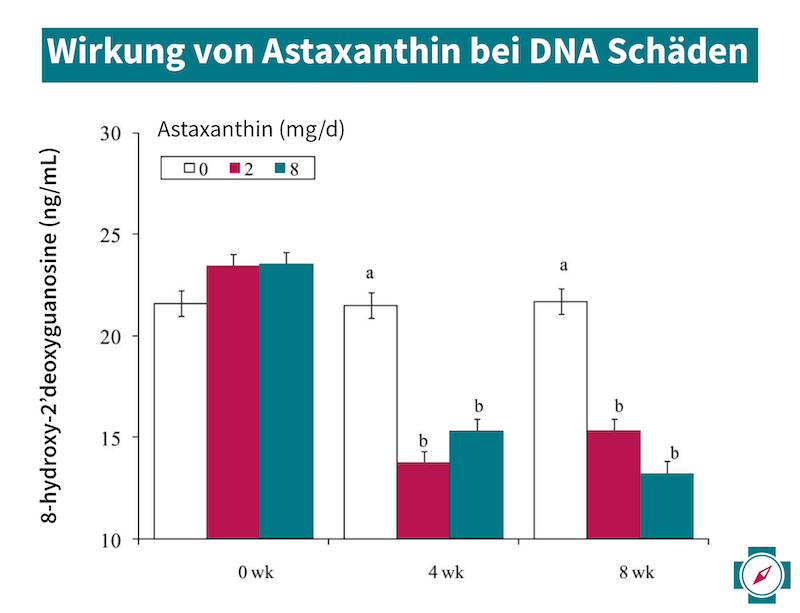 Wirkung Astaxanthin bei DNA Schäden