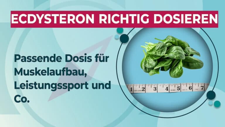 Ecdysteron Dosierung