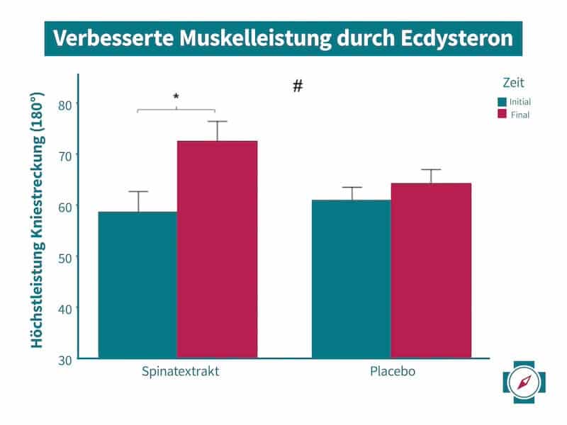 Verbesserte Muskelleistung durch Ecdysteron