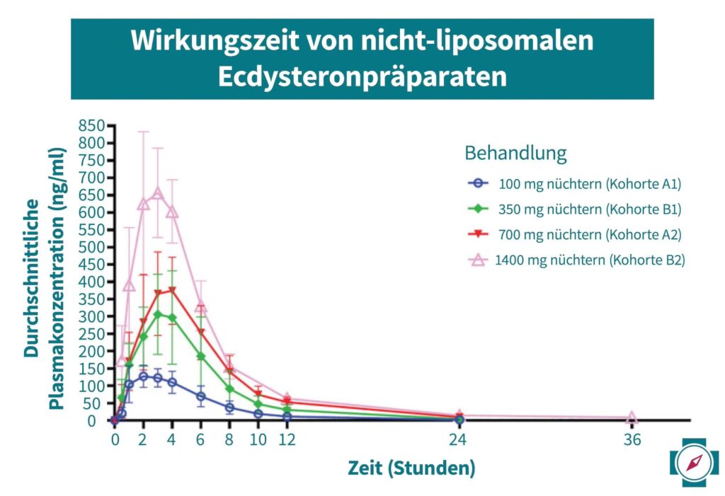 Wirkungszeit von nicht liposomalen Ecdysteronpräparaten