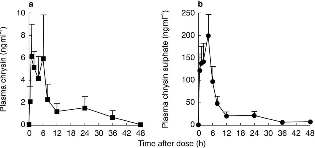 Chrysinpräparate mit einer Dosis von 400 mg pro Tag (links) haben zeigen nur eine minimale Steigerung im Blutplasma. Nach der oralen Einnahme findet eine schnelle Bindung an Sulfat statt. 