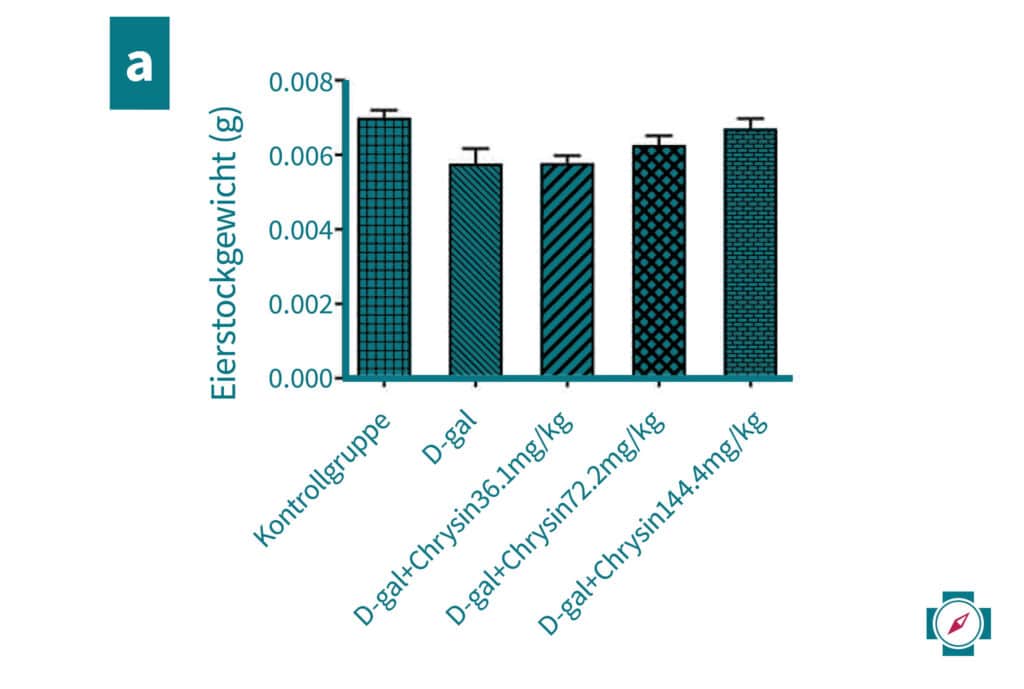 Chrysin Effekt auf Eierstockgewicht