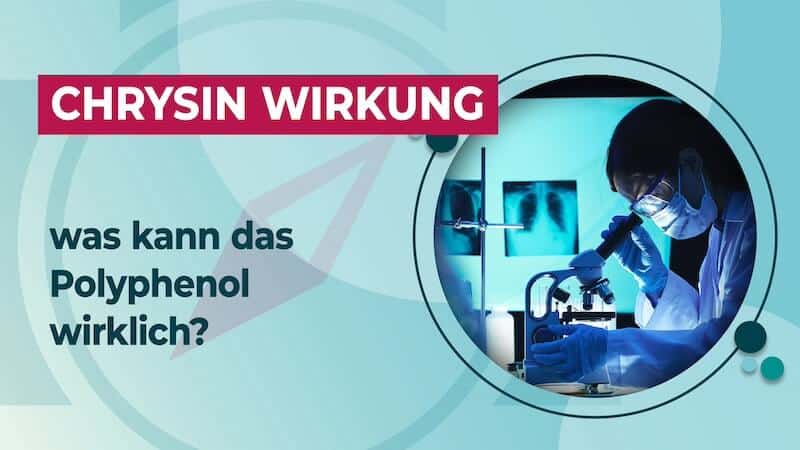 Chrysin Wirkung