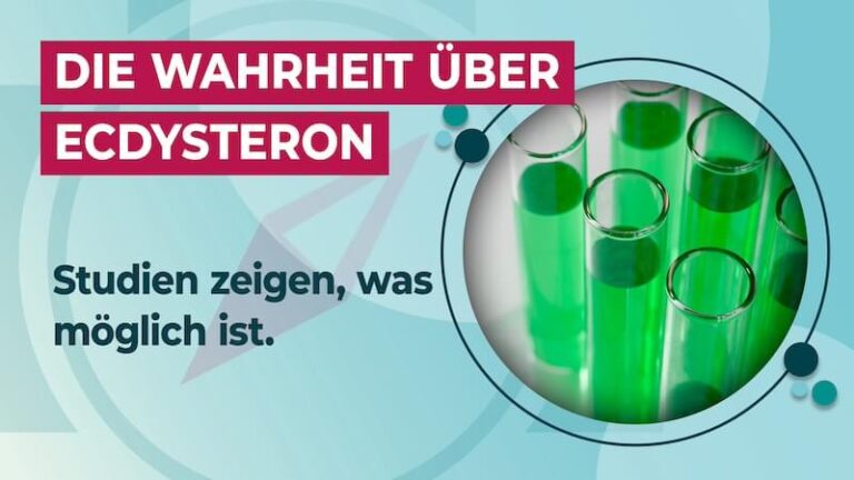 Ecdysteron Wirkung