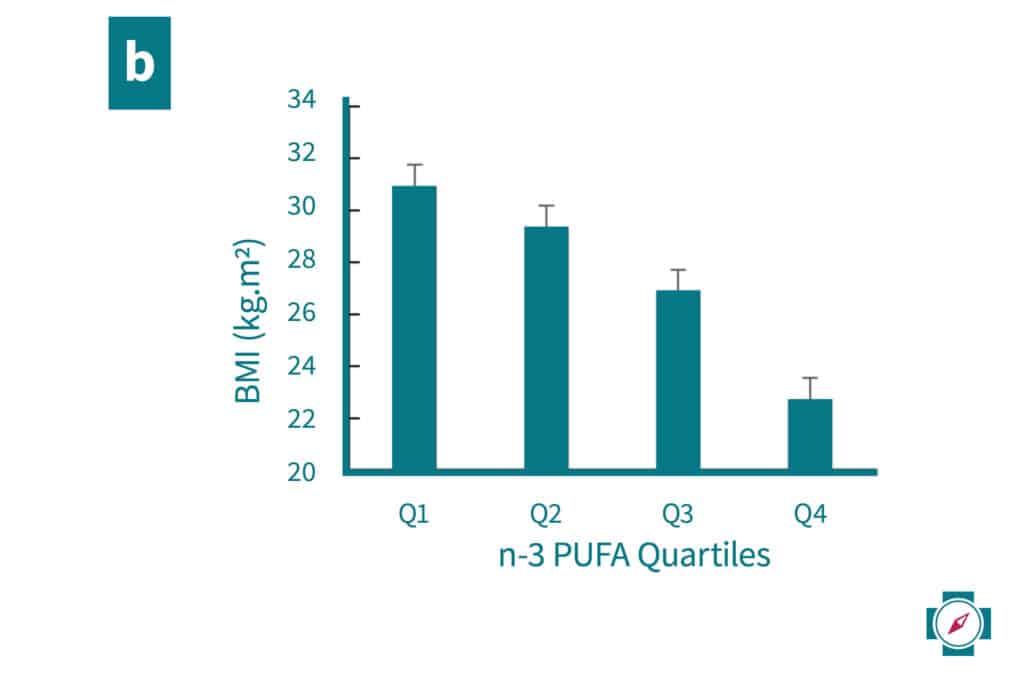 Omega 3 Mangel Übergewicht