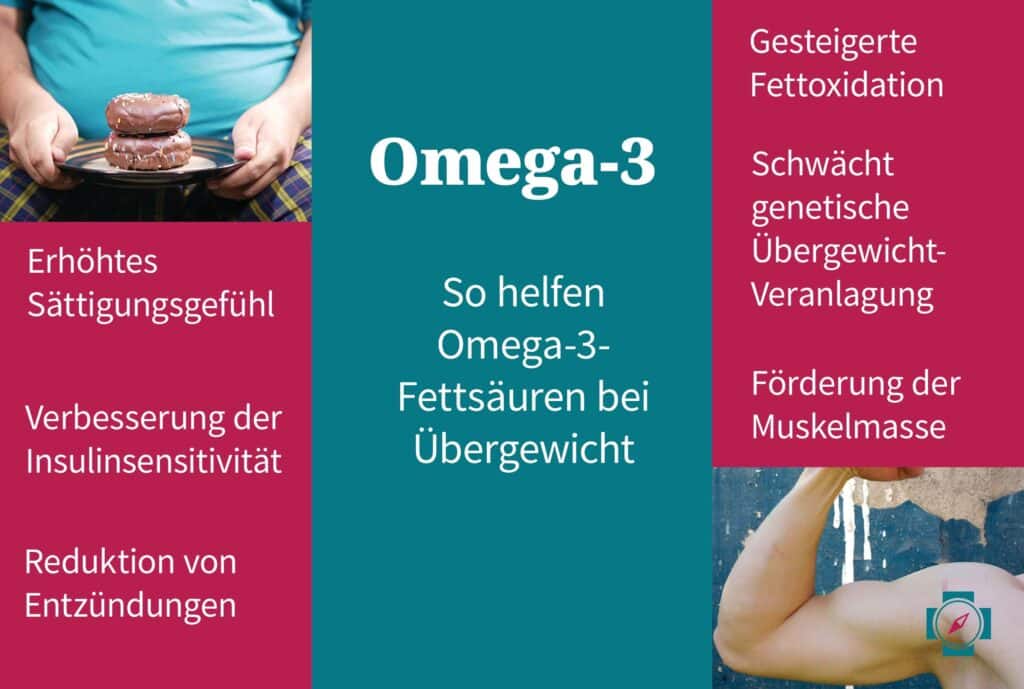 Omega 3 Mangel Übergewicht