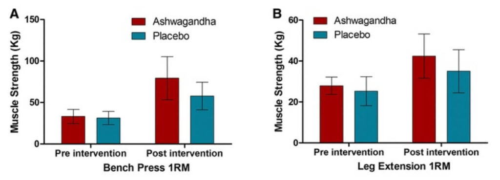 Ashwagandha Wirkung auf Muskeln