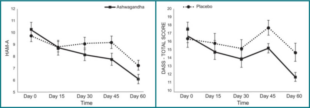 Ashwagandha Wirkung bei Angst, Stress, Depressionen