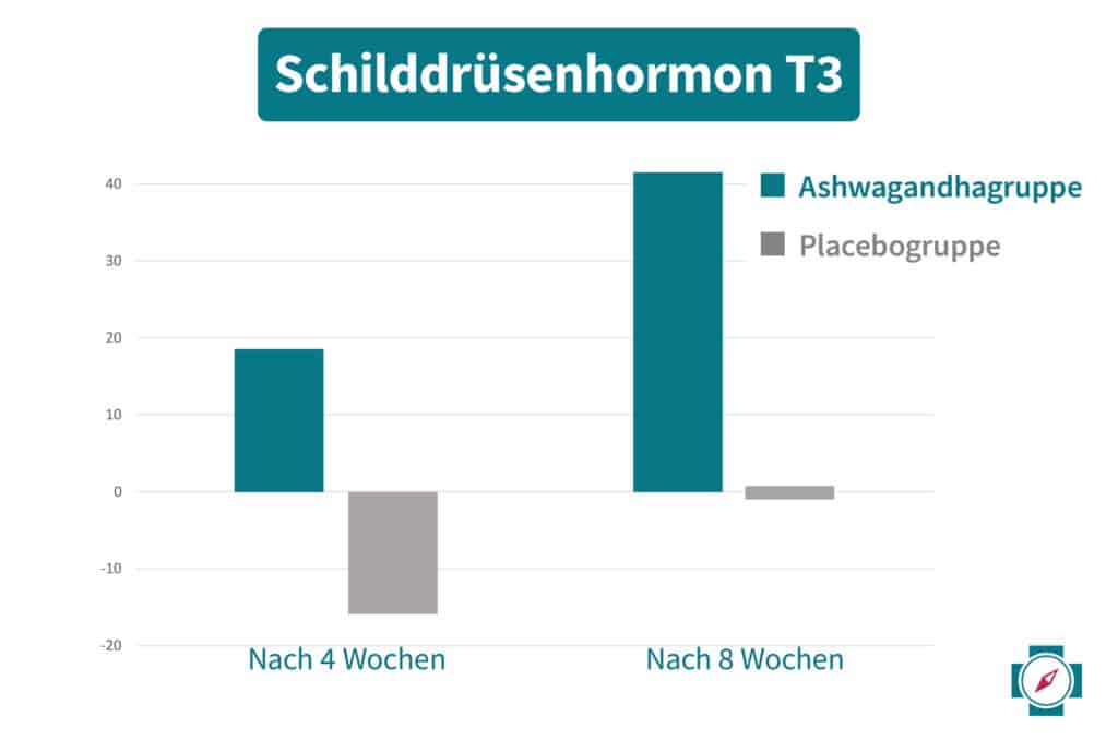 Ashwagandha Wirkung bei Schilddrüsenunterfunktion - T3