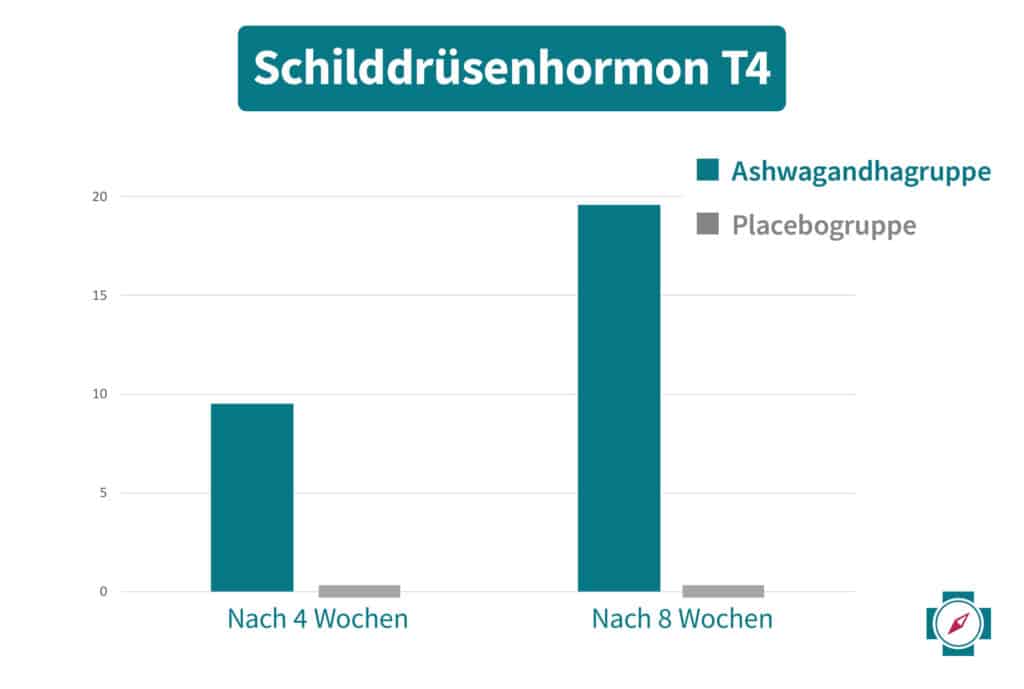 Ashwagandha Wirkung bei Schilddrüsenunterfunktion - T4