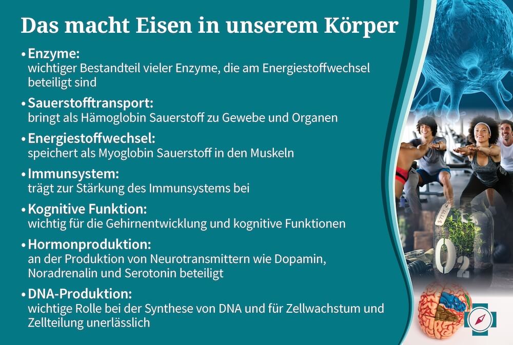 Augenringe bei Eisenmangel - Das macht Eisen in unserem Körper