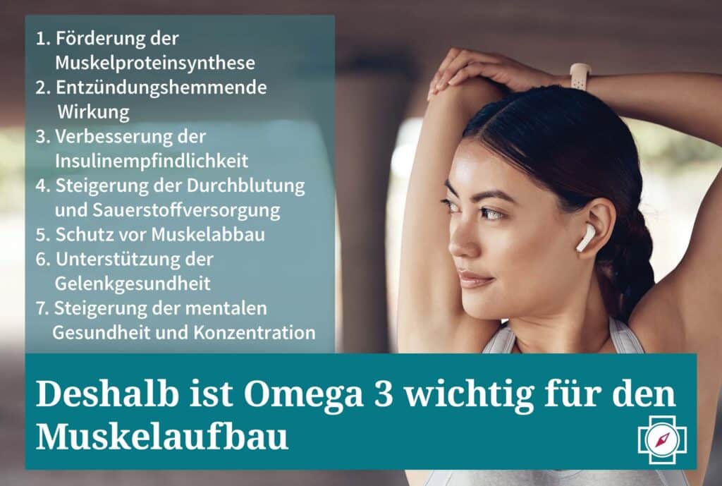 Deshalb ist Omega 3 wichtig für den Muskelaufbau