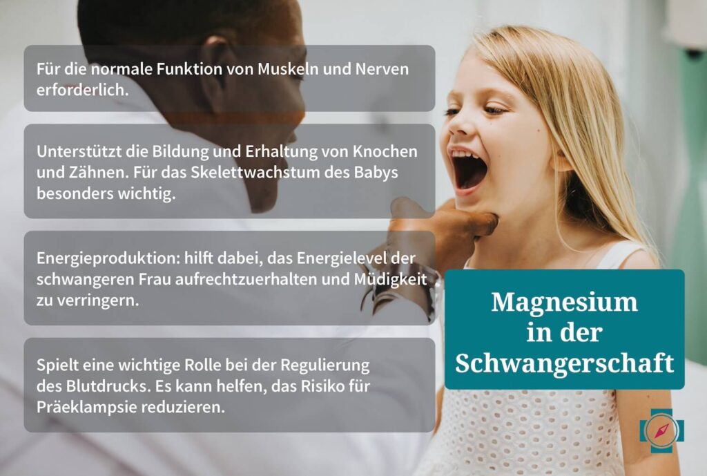 Magnesium in der Schwangerschaft - Funktionen