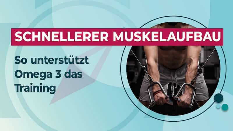 Omega 3 Muskelaufbau