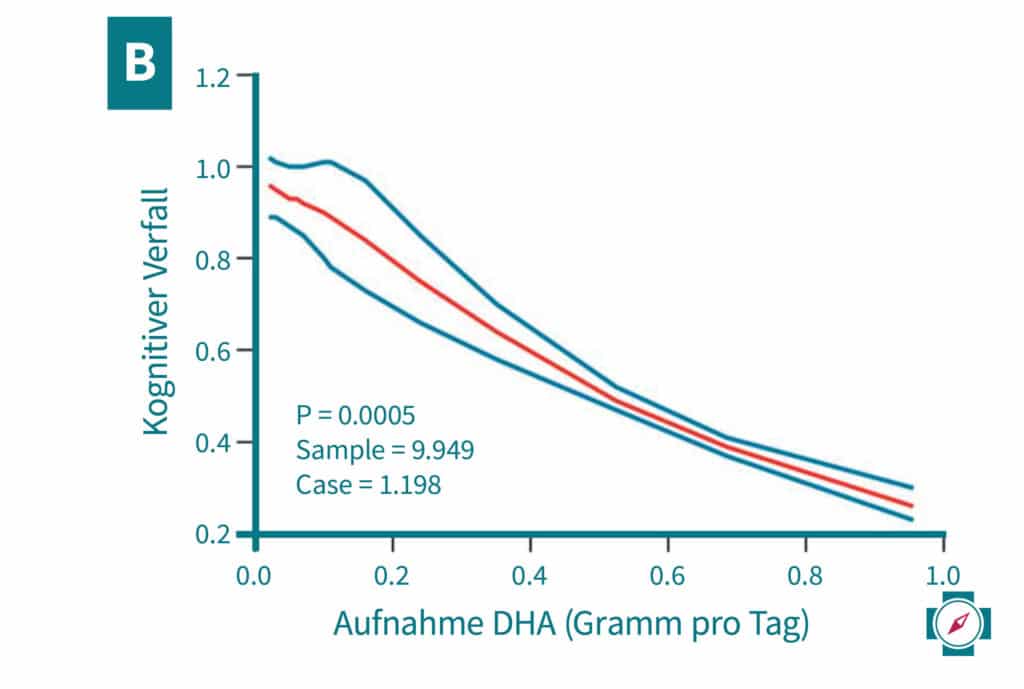 Omega 3 kognitiver Verfall