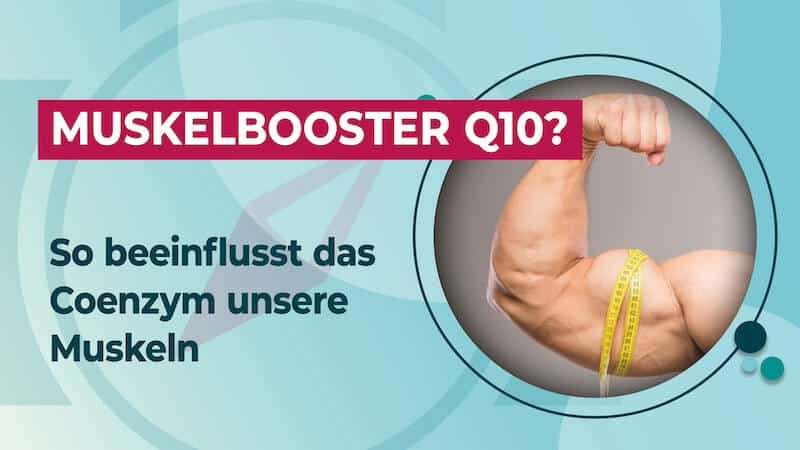 Q10 Wirkung Muskeln