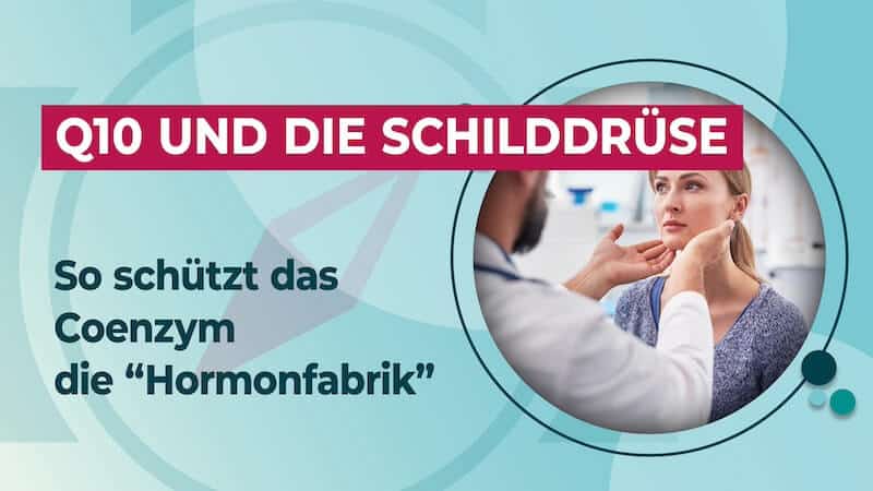 Q10 Wirkung Schilddrüse