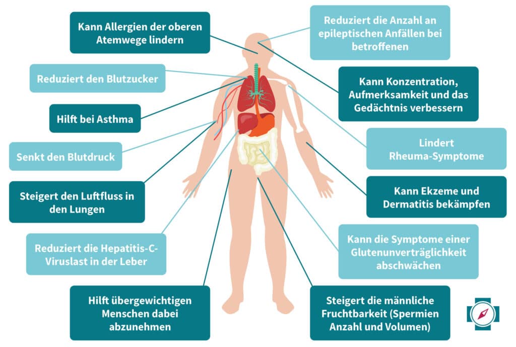 Schwarzkümmelöl Wirkung Übersicht