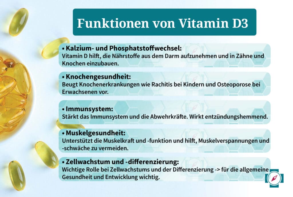 Vitamin D Mangel bei Kindern - Funktionen von Vitamin D