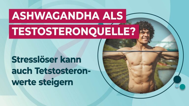 Ashwagandha für Testosteron