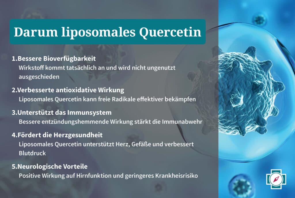 Bessere Wirkung durch liposomales Quercetin