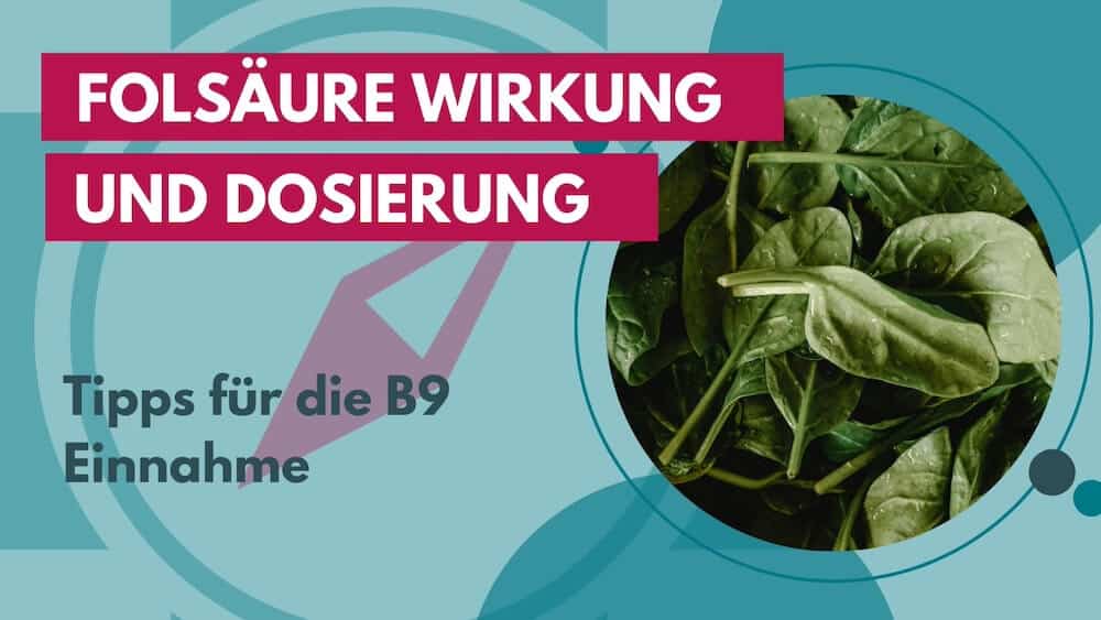 Folsäure Wirkung