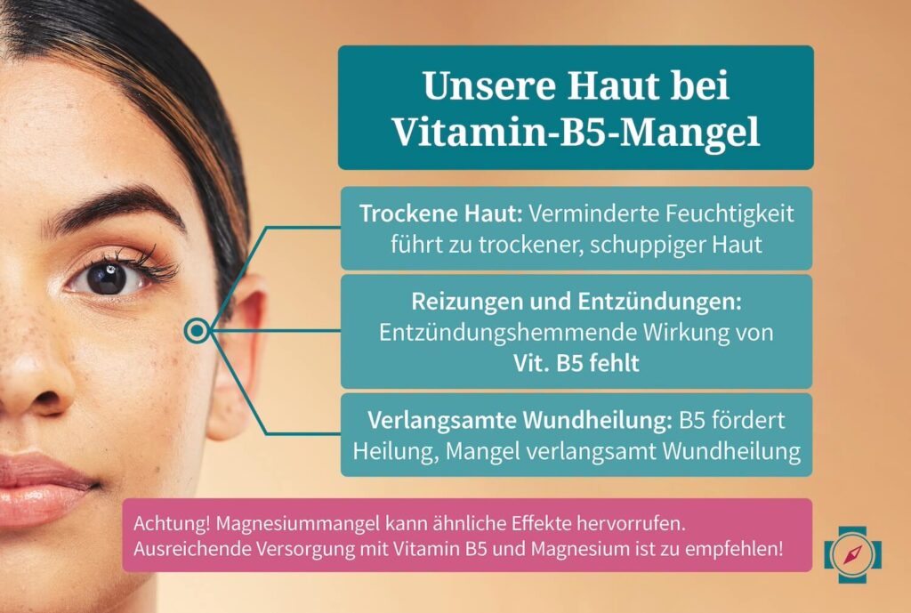 Unsere Haut bei Vitamin-B5-Mangel