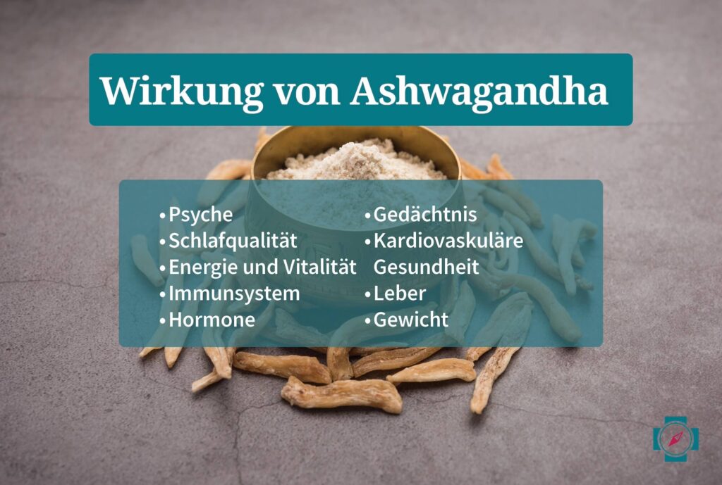 Wirkung von Ashwagandha auf Testosteron