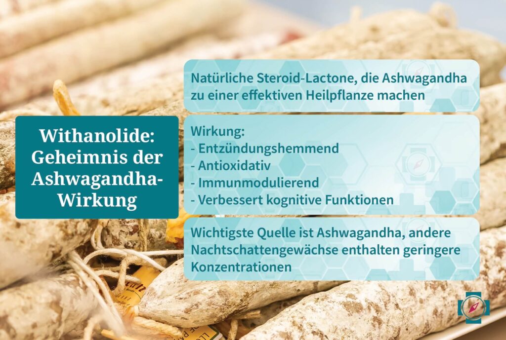 Withanolide Geheimnis der Ashwagandha-Wirkung für Frauen