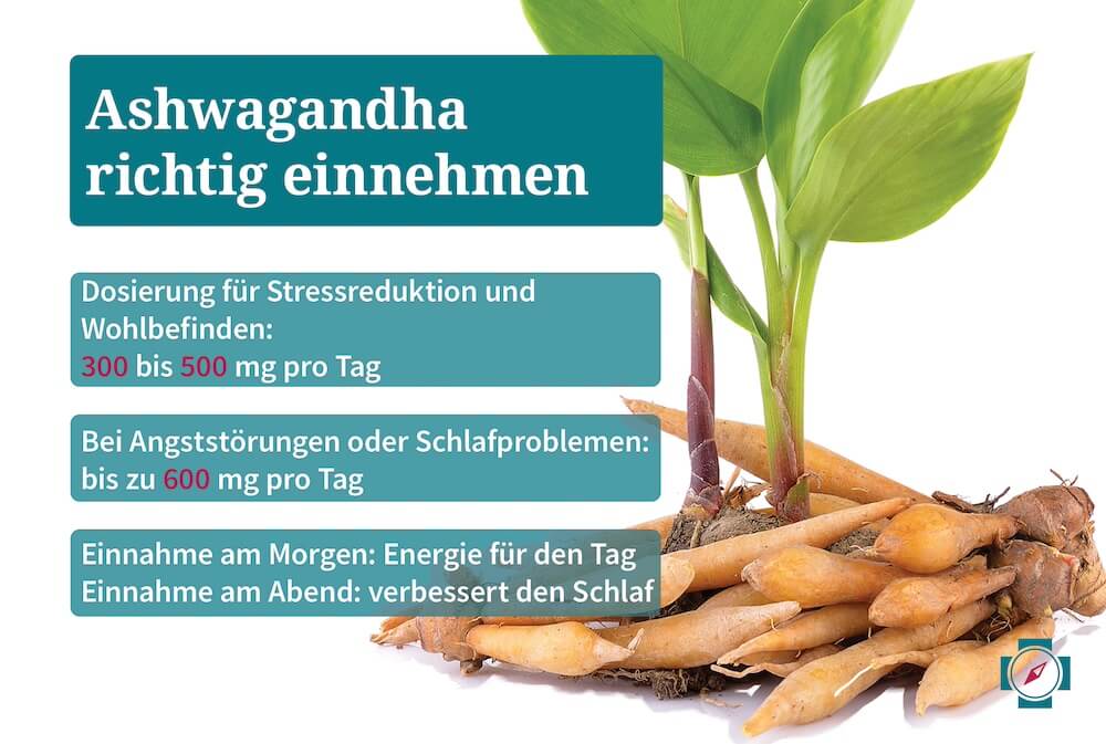 Ashwagandha Gewichtszunahme - richtig einnehmen