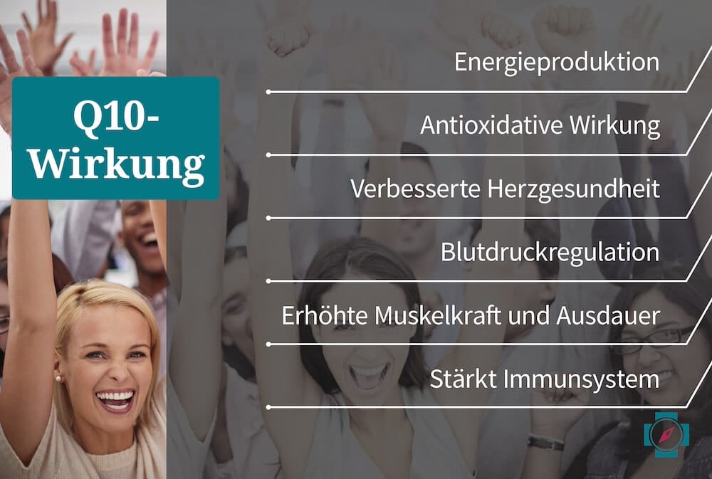 Q10 Herz Wirkung