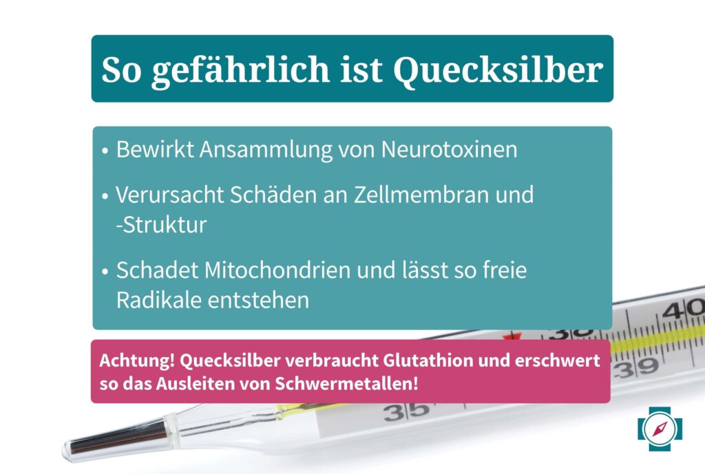 Thunfisch Schwermetalle - So gefährlich ist Quecksilber