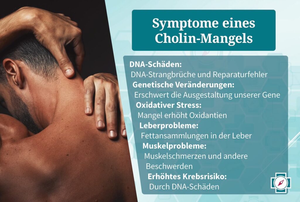 Vitamin B4 Symptome eines Cholin Mangels