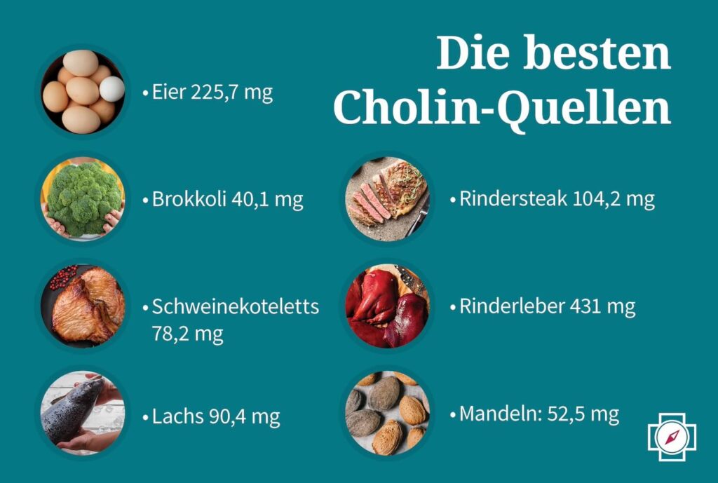 Vitamin B4 die besten Cholin Quellen