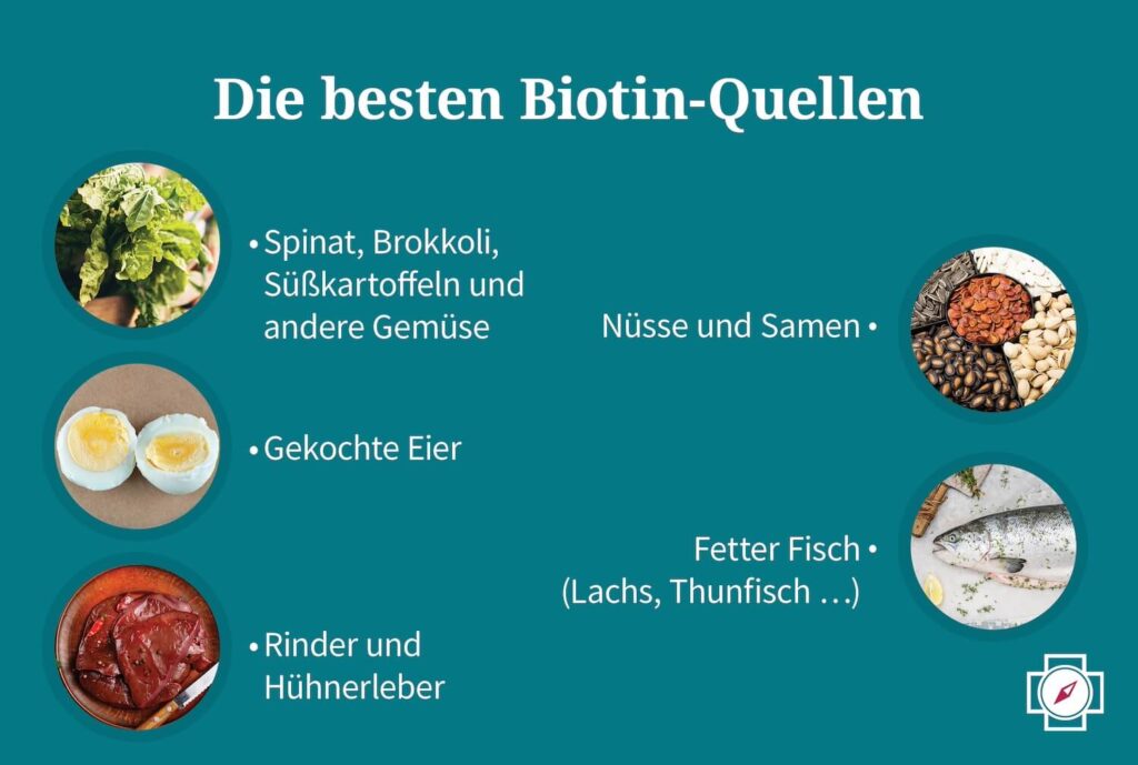 Vitamin B7 - Die besten Biotin-Quellen