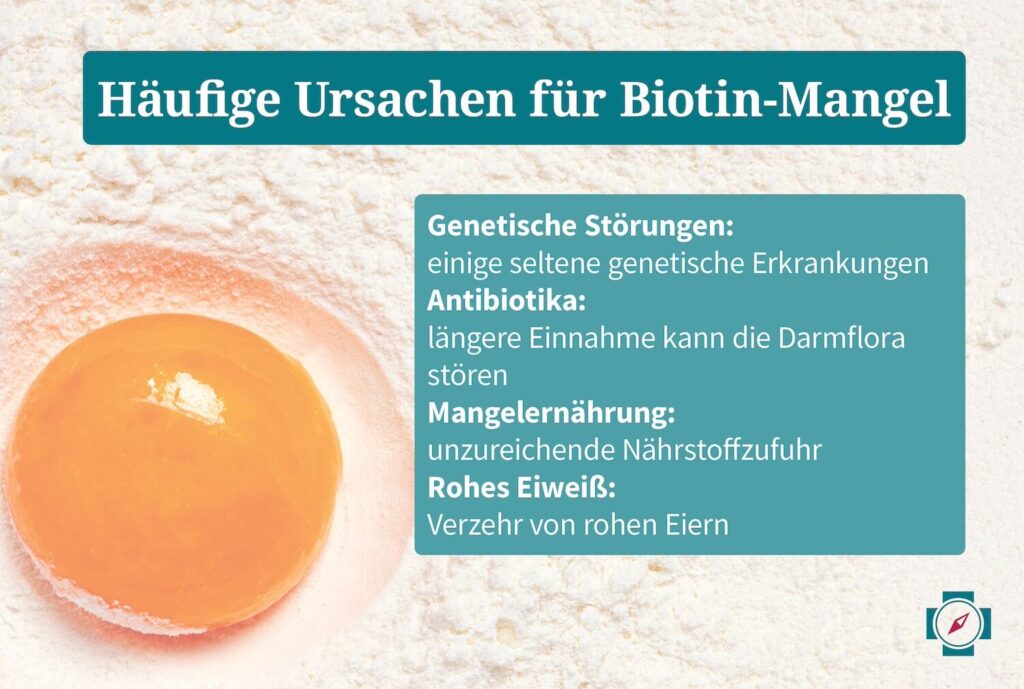 Vitamin B7 Häufige Ursachen für Biotin-Mangel