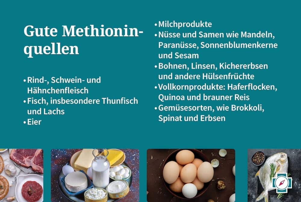 11 Gute Methionin quellen