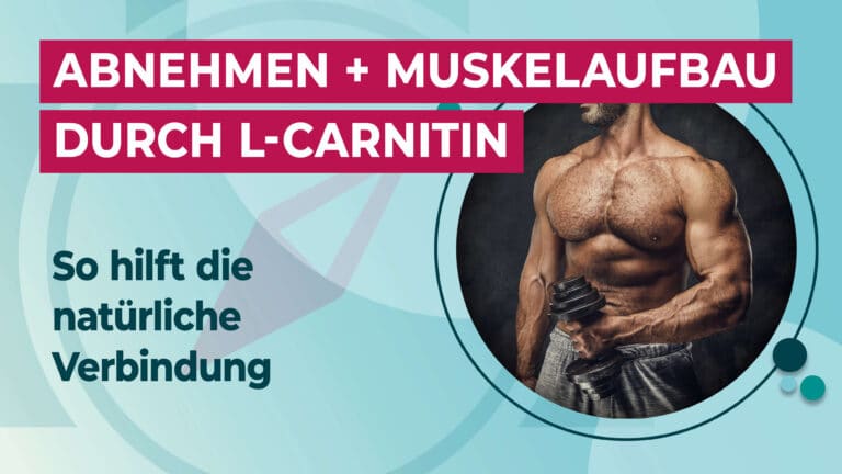 Abnehmen + Muskelaufbau durch L-Carnitin