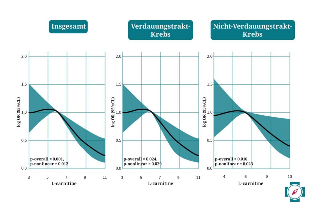 L-Carnitin Krebs