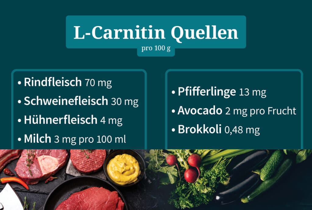 L-Carnitin Quellen