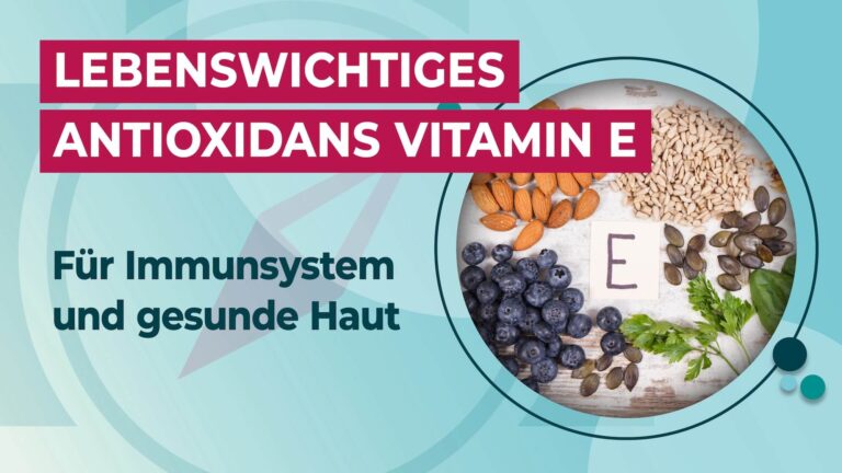 Lebenswichtiges Antioxidans Vitamin E