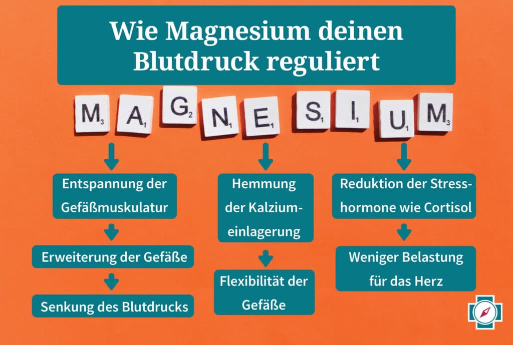 Magnesiummangel Bluthochdruck Regulation